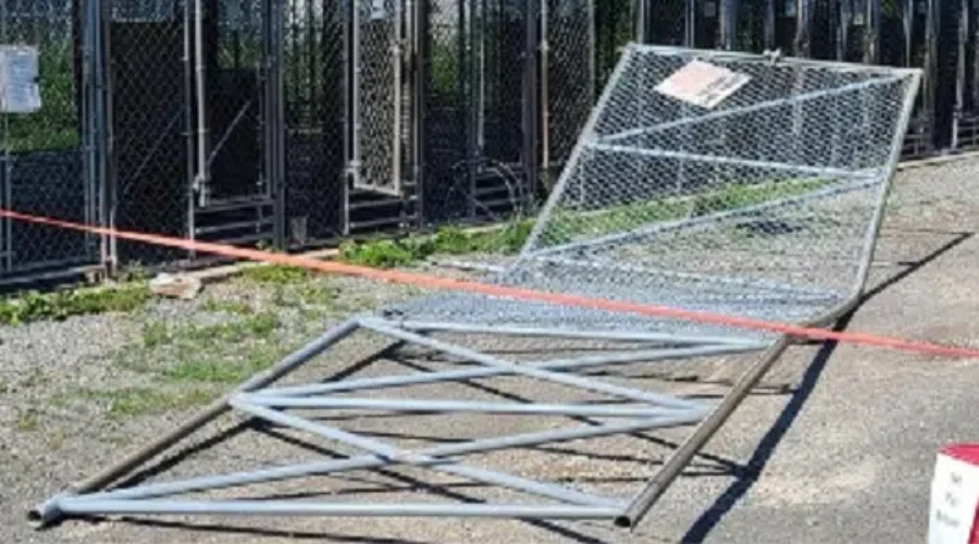 VIDEO: Vehicle Rams Compound Gate At Moncton SPCA