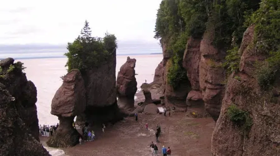 Artists Called To Create At N.B. Provincial Parks