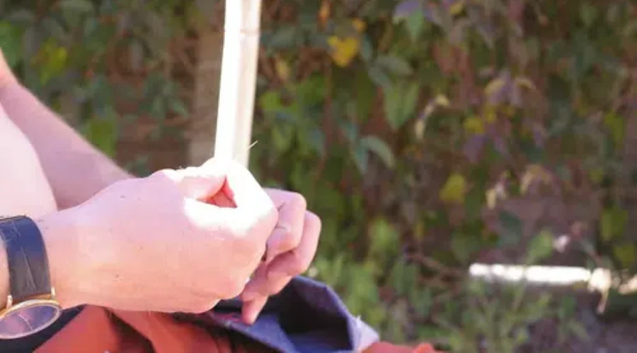 Sharps Containers Essential For Needle Disposal: Avenue B