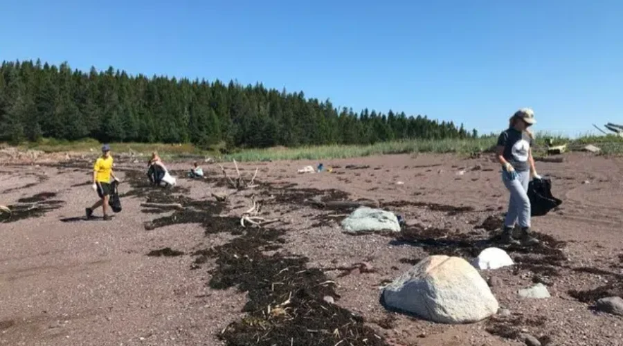 Cleanup Continues With A Bigger Focus