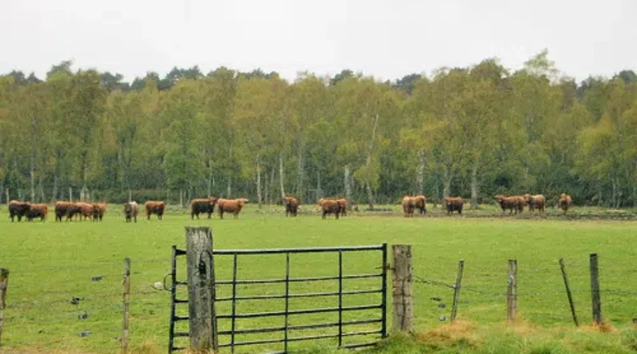 Emergency On-Farm Support Fund Now Available To N.B.
