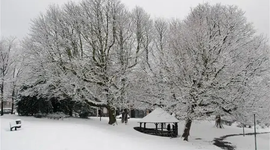 First Snowfall Of The Season For Parts Of N.B.