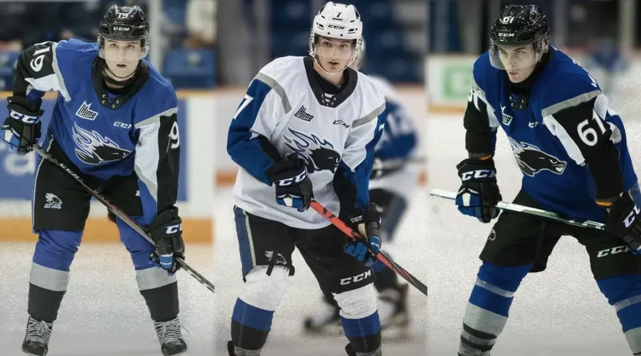 Three Sea Dogs Among NHL Central Scouting’s ‘Players To Watch’