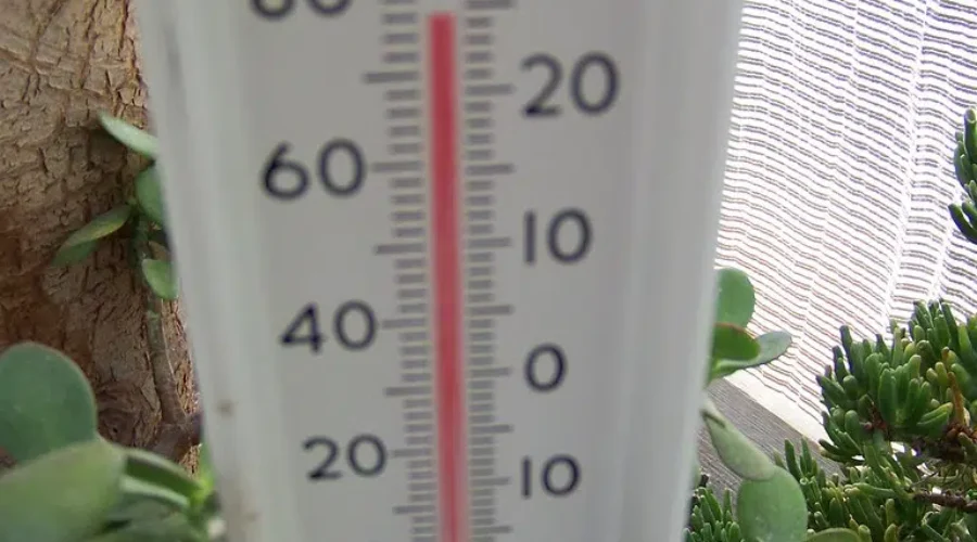 November Temperature Records Smashed In New Brunswick