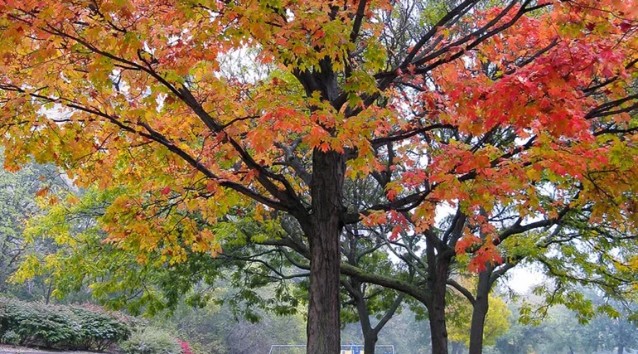 Record-Breaking Highs Possible For N.B.