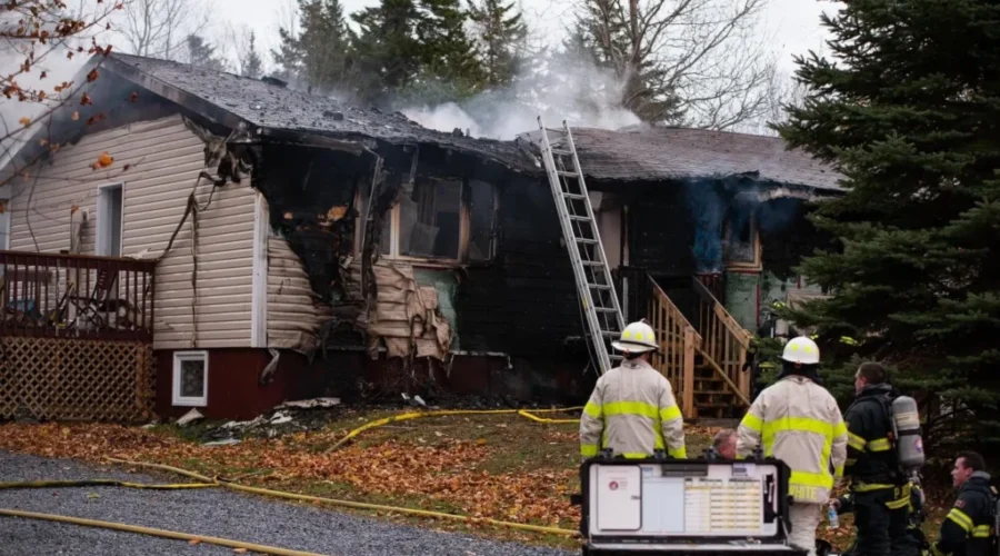 Firefighters Save Dogs From Burning Home