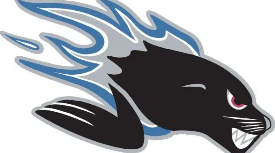 Testing Continues In The Sea Dogs Organization