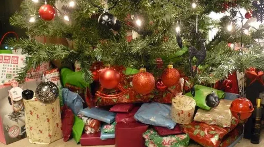 RCMP Offer Holiday Safety Tips