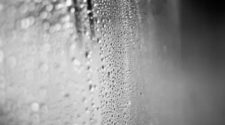 Heavy Rain, High Winds Move Into The Region