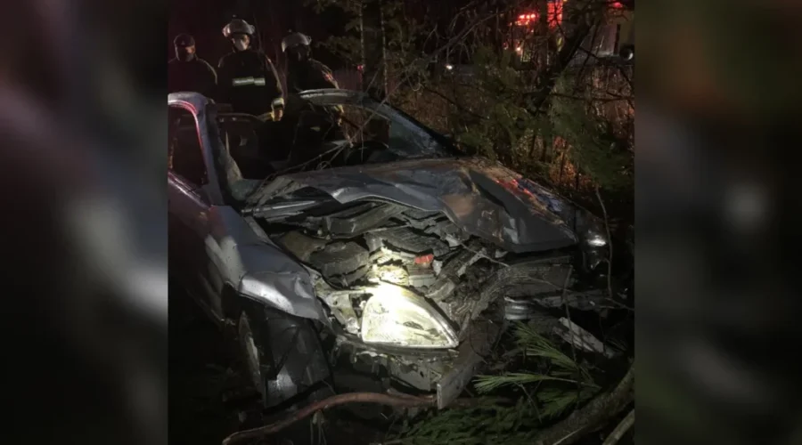 Vehicle Strikes Moose On Route 7