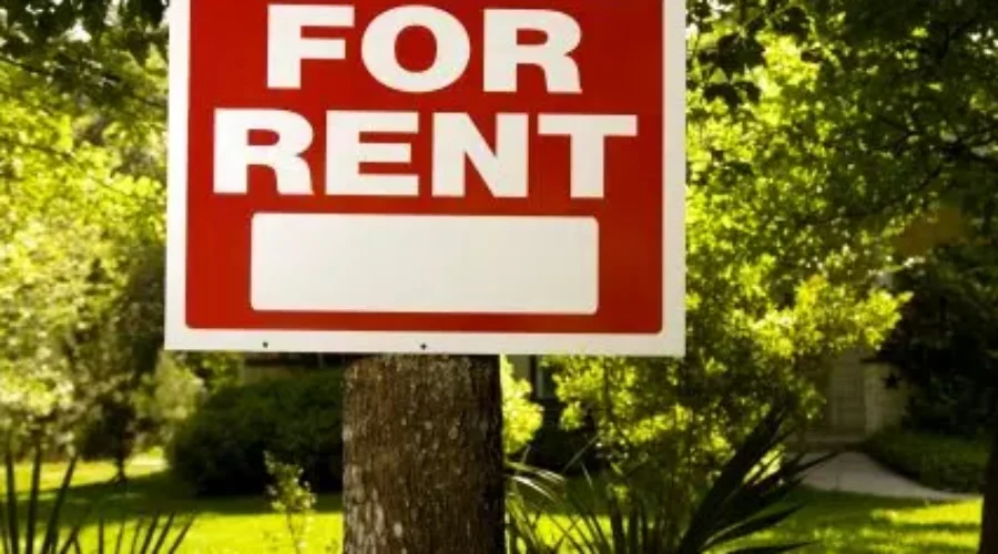 Vacancy, Rental Rates Up In N.B.