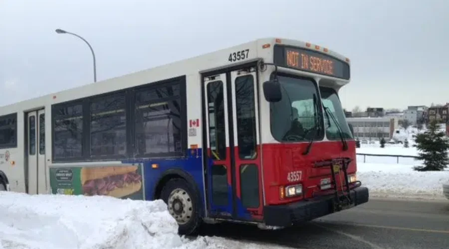 Saint John Transit Pulling Its Buses