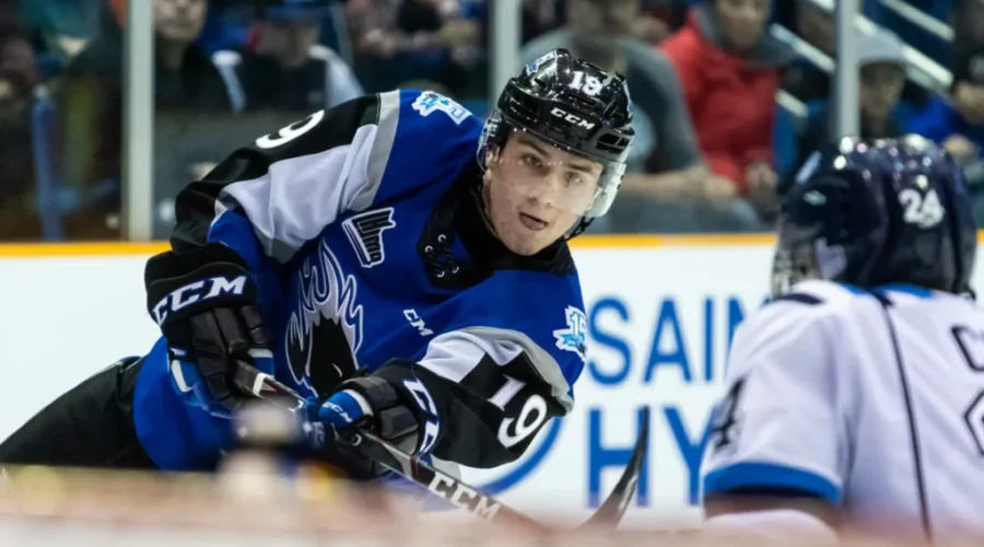 Sea Dogs Trade Roy For Four Draft Picks