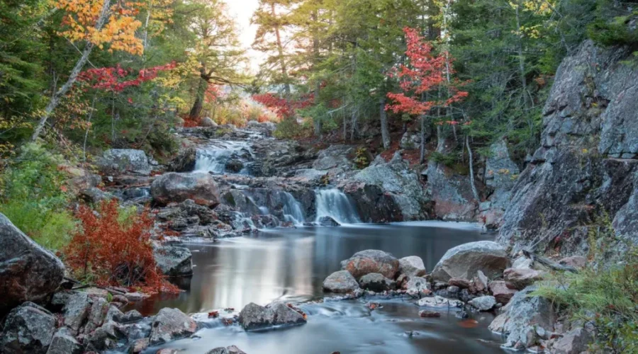 Saint John Photographer Sharing Tips On Social Media