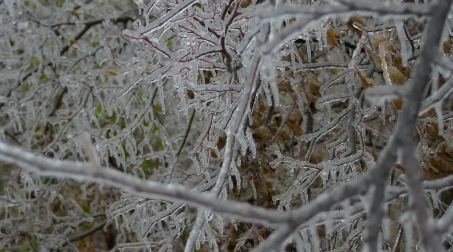 Power Outages Possible Due To Freezing Rain
