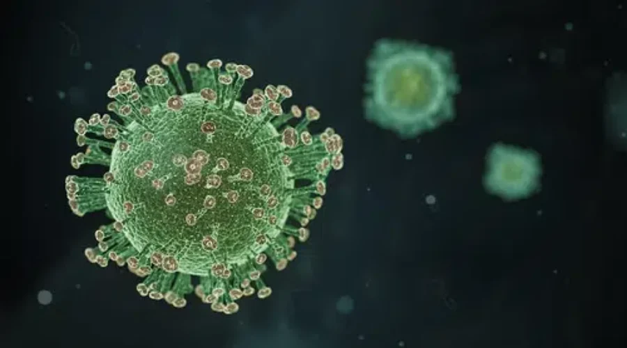 One New Death, No New COVID-19 Cases: Public Health