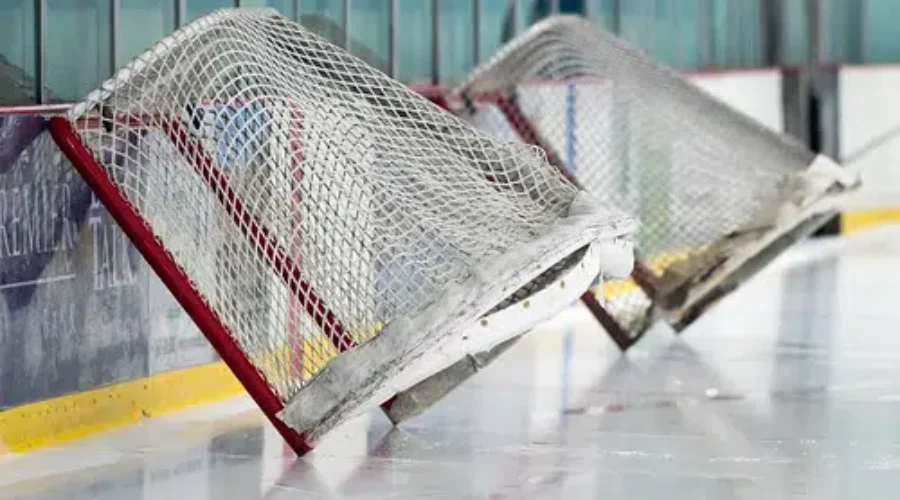 Tim Peel Done Refereeing NHL Games