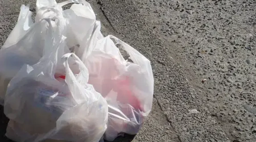 SJ On Track For Plastic Bag Ban July 1