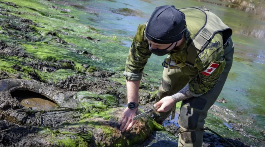 WWII Air Bomb Found Outside Yarmouth
