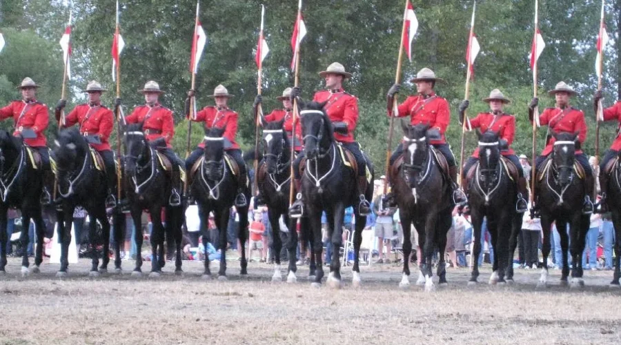 RCMP Launch Naming Contest For New Foals