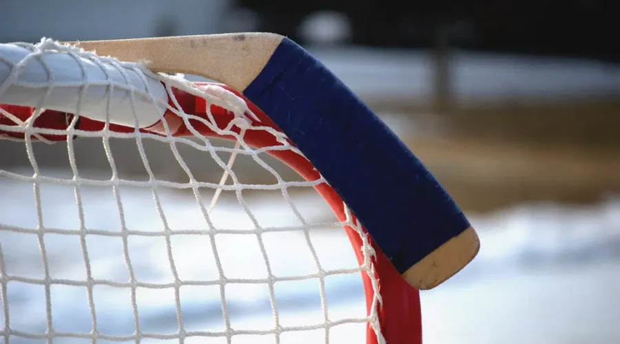 Help Elsipogtog Win Kraft Hockeyville 2021