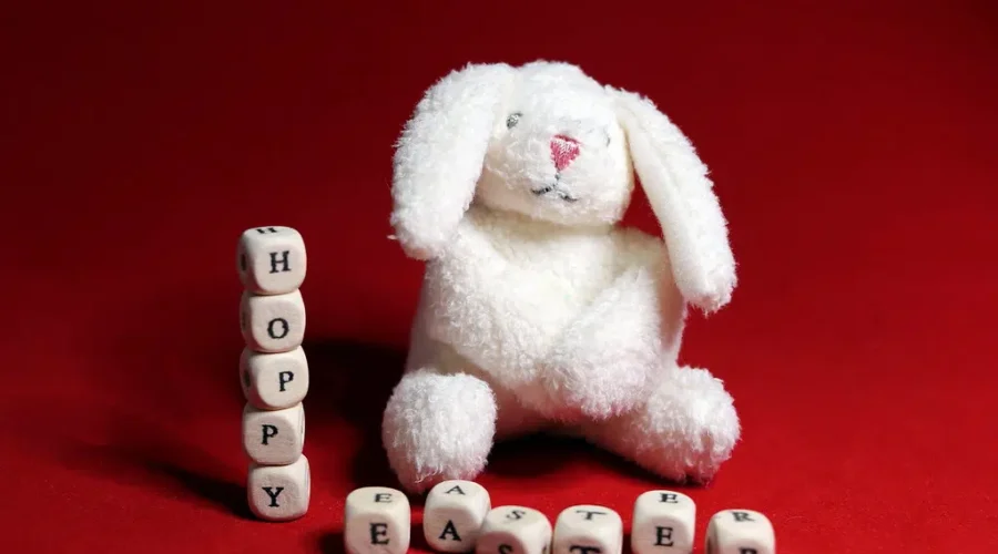 PEI Chief Health Officer Says Easter Bunny Cleared For Visit