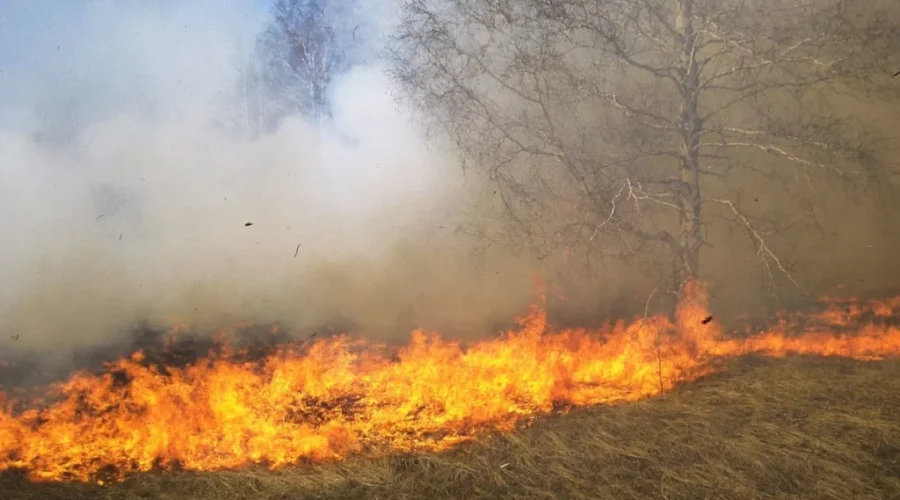 Forest Fire Season Begins In New Brunswick