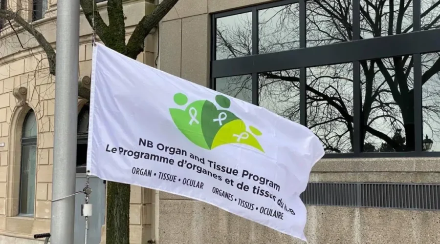 New Brunswickers Encouraged To Declare Organ Donation Plans