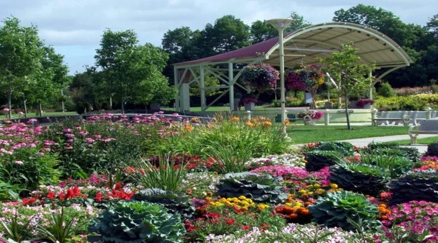 Quispamsis Approves Outdoor Farmers’ Market