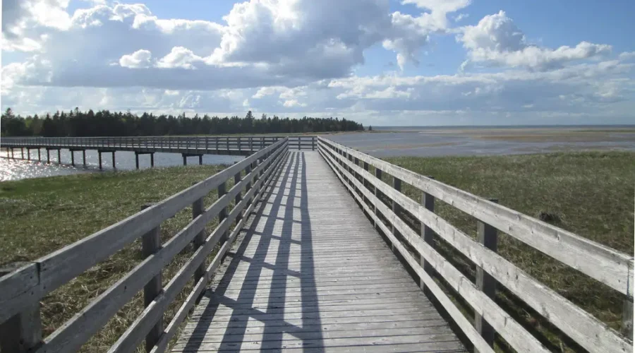 N.B. Expands Travel Incentive Program To Atlantic Canada