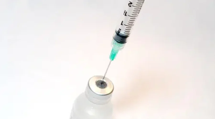 33.6 Per Cent Of New Brunswickers Now Fully Vaccinated