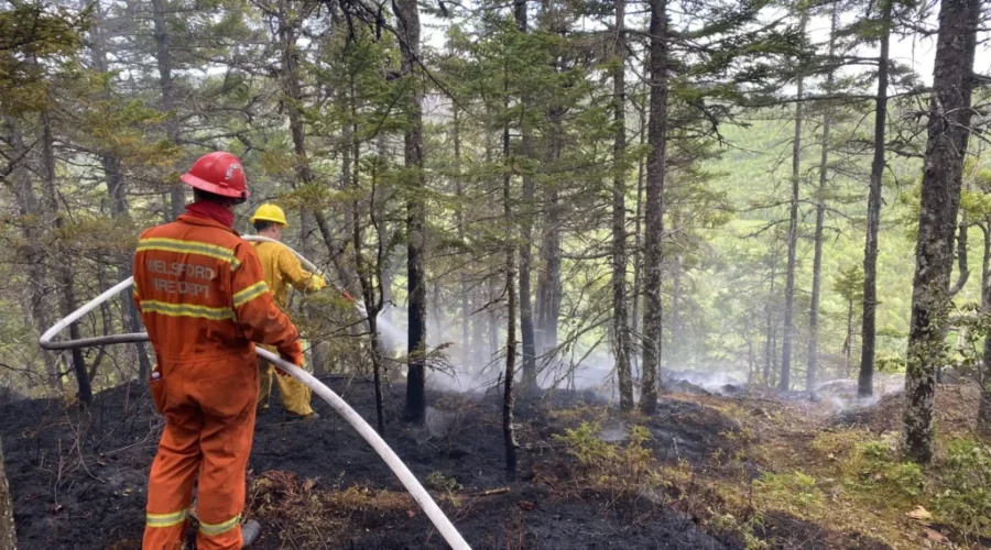 UPDATE: Eagle Rock Forest Fire Knocked Down