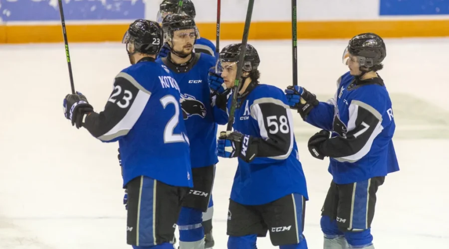 Sea Dogs Will Play Pre-Season Games In Fredericton