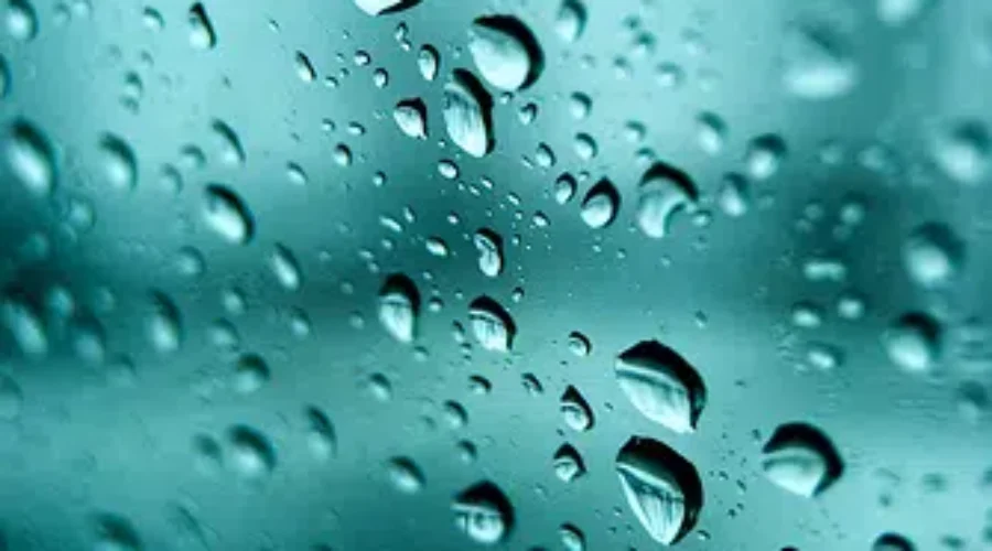 Post-Tropical Storm Elsa Leaves A Soggy Trail