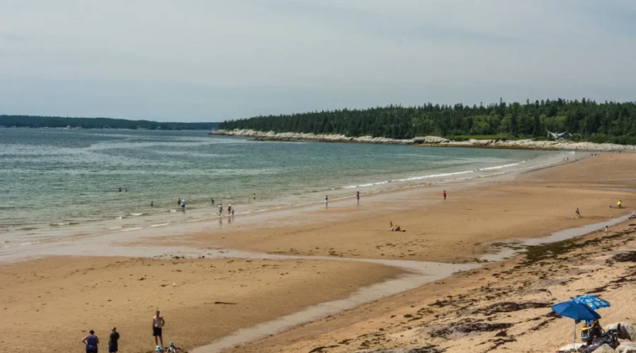 No-Swimming Advisories At New River Beach, Oak Bay