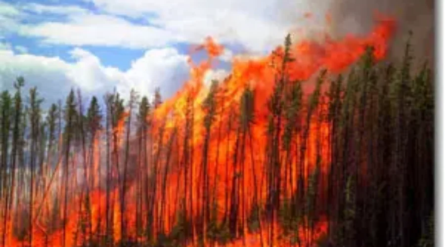 N.B. Sends 47 Firefighters To Battle B.C. Wildfires