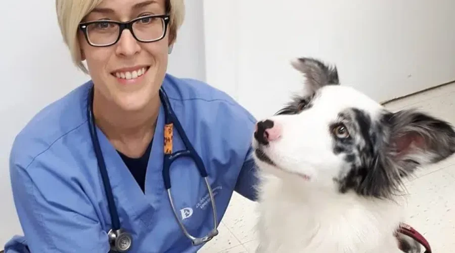 Study Finds Growing Shortage Of Veterinarians In Canada