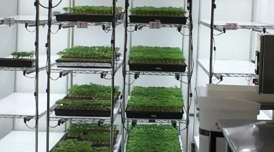 New CEO Named For Organigram