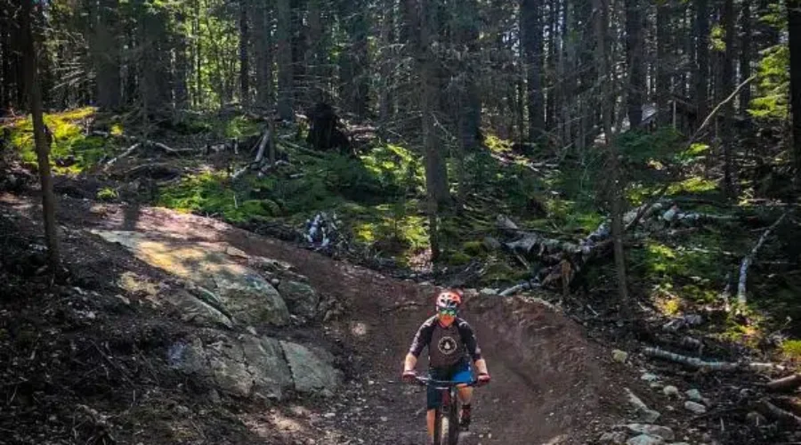 New Mountain Bike Trails Open At Rockwood Park