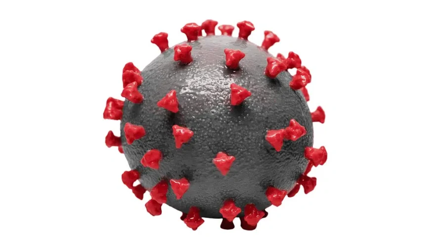 N.B. Adds 35 New COVID-19 Cases