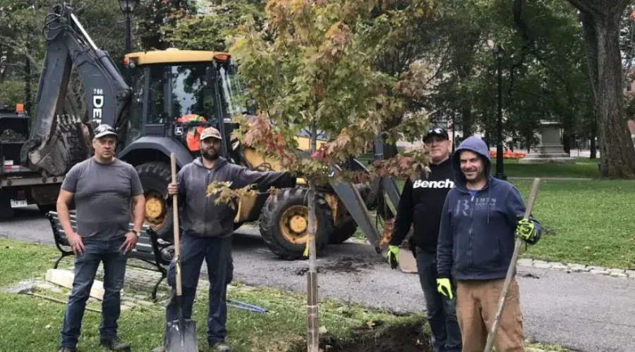 Seven Trees Planted In King’s Square