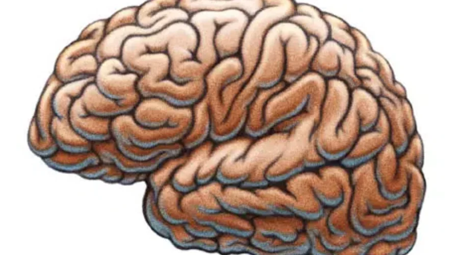 Province Says Update On Mystery Brain Illness Expected Soon