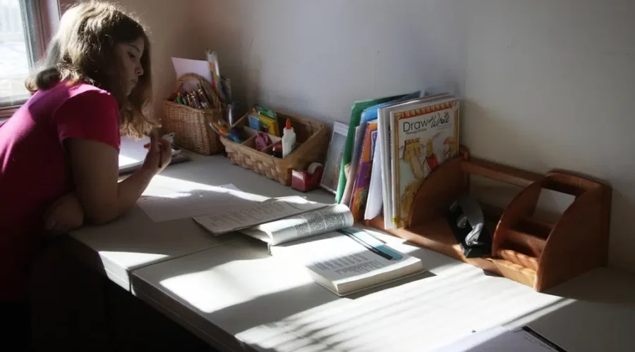 Homeschooling Growth Reflects Positive Educational Impact