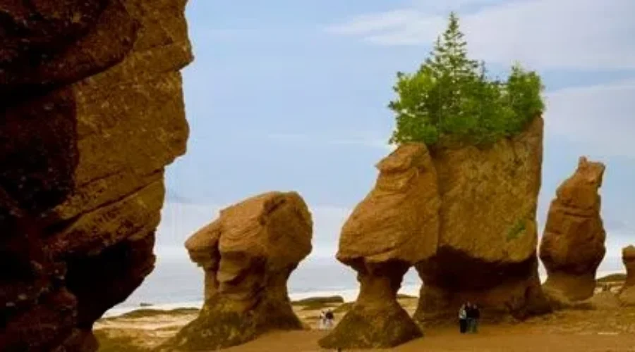 Hopewell Rocks – An Ever-Changing Attraction