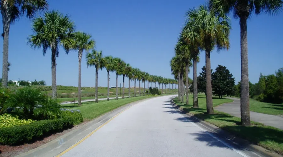 Snowbirds Anxious To Head South For Winter