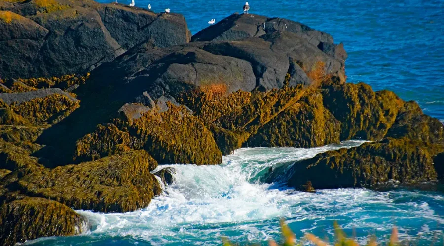 Province Lists 25 Campobello Island Properties