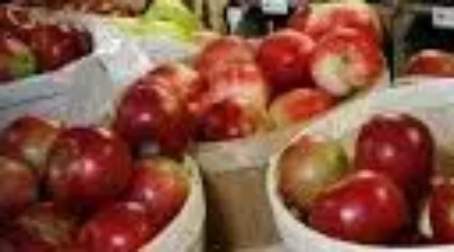 IT’S APPLE TIME-TIME TO GET YUMMY