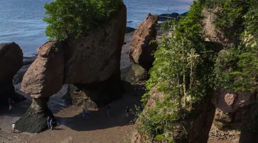 Explore NB Travel Incentive Rebates Still Being Processed