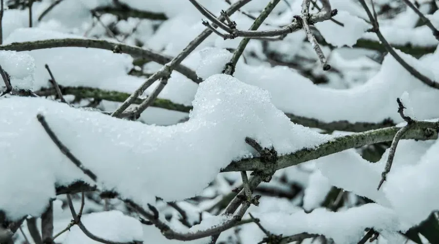 Snowfall Totals From This Weekend’s Storm