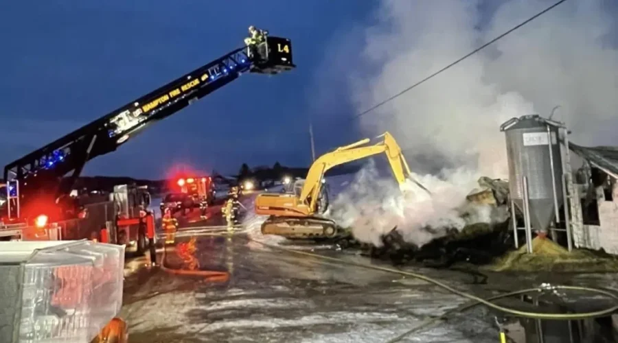Kingston Barn Fire Claims Livestock And Equipment